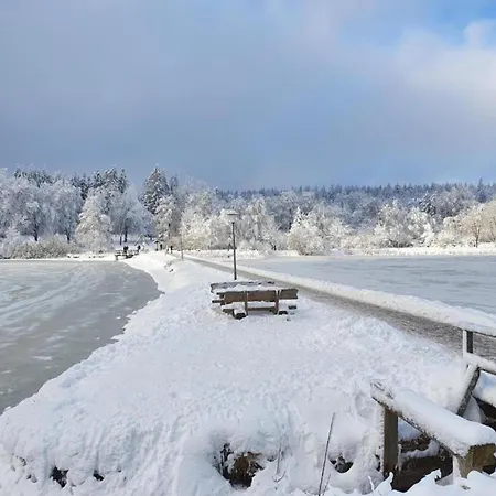 Comfortable Waterfront In Hahnenklee