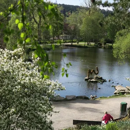Comfortable Waterfront In Hahnenklee * Goslar