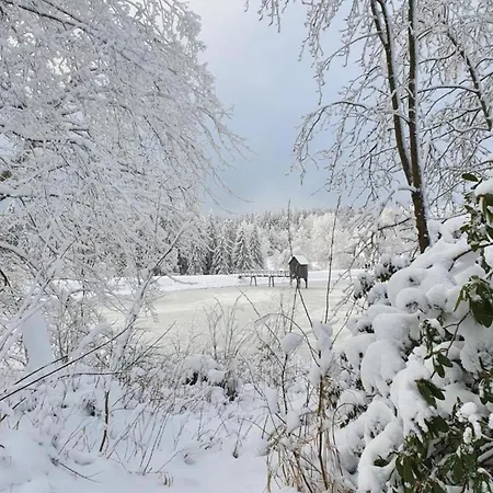 Comfortable Waterfront In Hahnenklee *